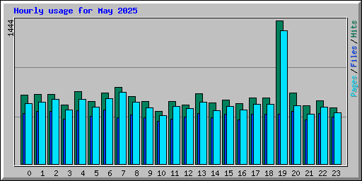 Hourly usage for May 2025