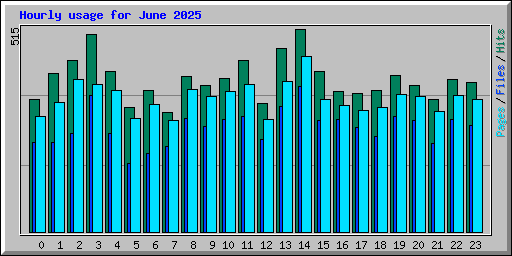 Hourly usage for June 2025