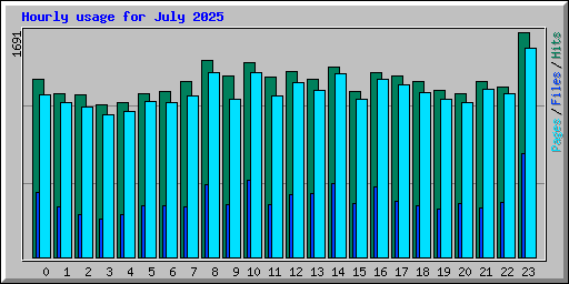 Hourly usage for July 2025