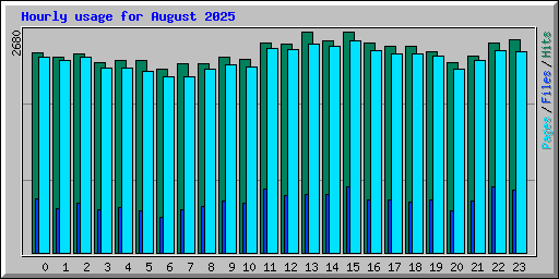 Hourly usage for August 2025