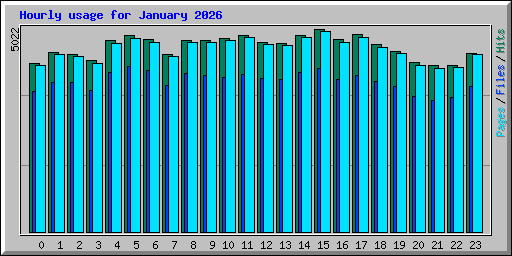 Hourly usage for January 2026