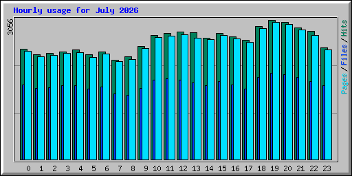 Hourly usage for July 2026