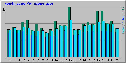 Hourly usage for August 2026